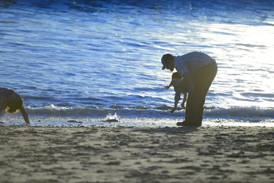 DSC_1220 (Large).JPG